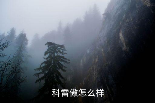 雷诺科雷傲 配件