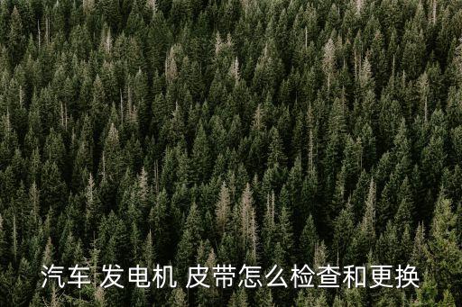 rav4发电机皮带怎么装