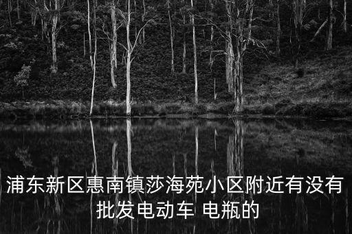 浦东新区惠南镇莎海苑小区附近有没有 批发电动车 电瓶的