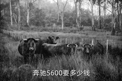 奔驰s600配件价格,s600奔驰v12
