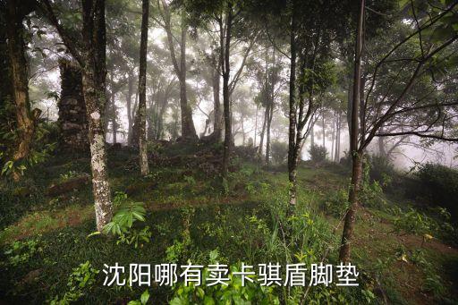  沈阳哪有卖卡骐盾脚垫