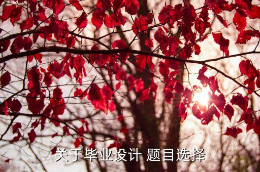 关于毕业设计 题目选择