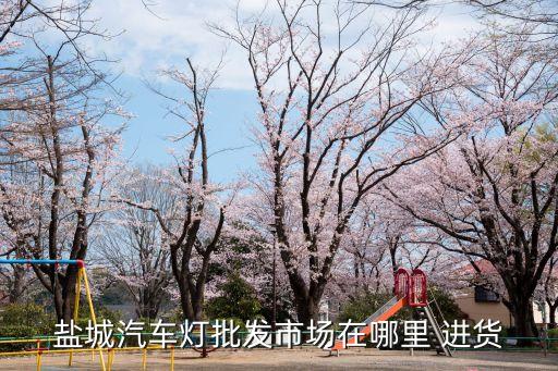 盐城汽车灯批发市场在哪里 进货
