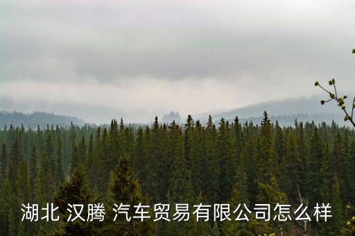 湖北 汉腾 汽车贸易有限公司怎么样