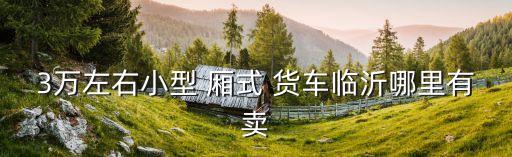 3万左右小型 厢式 货车临沂哪里有卖
