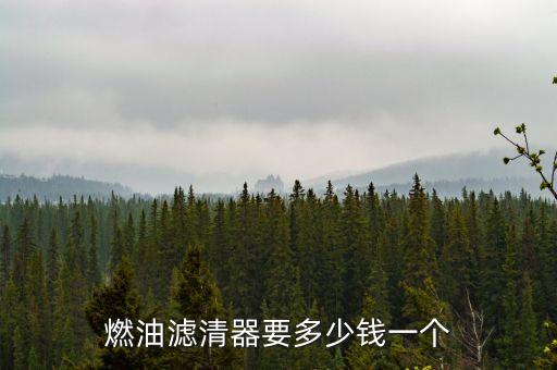 燃油滤清器要多少钱一个