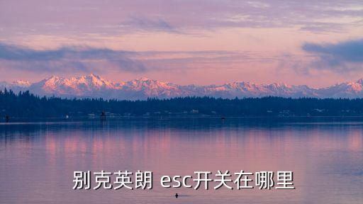  别克英朗 esc开关在哪里