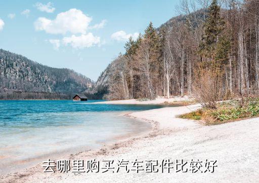去哪里购买汽车配件比较好