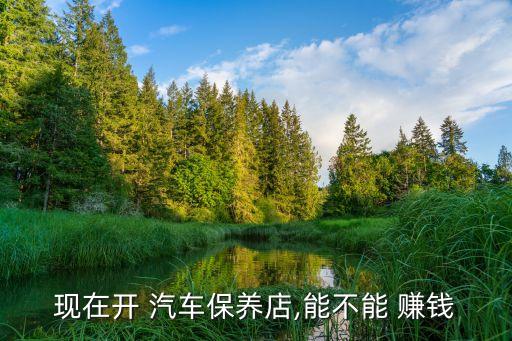 现在开 汽车保养店,能不能 赚钱