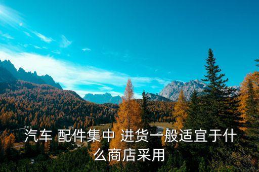  汽车 配件集中 进货一般适宜于什么商店采用