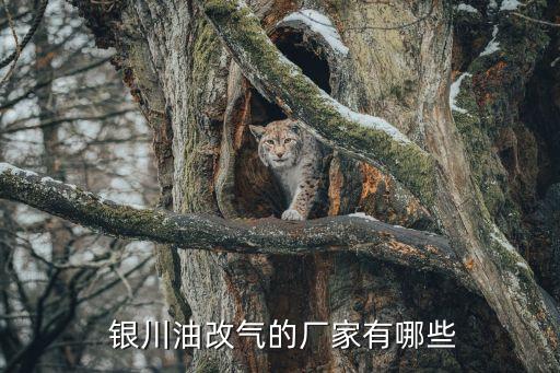  银川油改气的厂家有哪些
