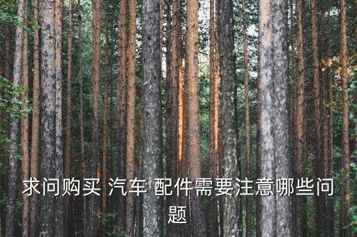 求问购买 汽车 配件需要注意哪些问题