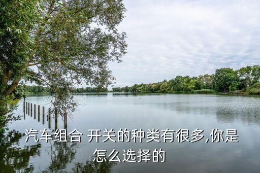  汽车组合 开关的种类有很多,你是怎么选择的