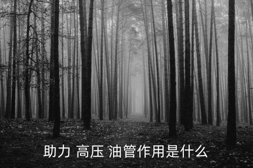 助力 高压 油管作用是什么