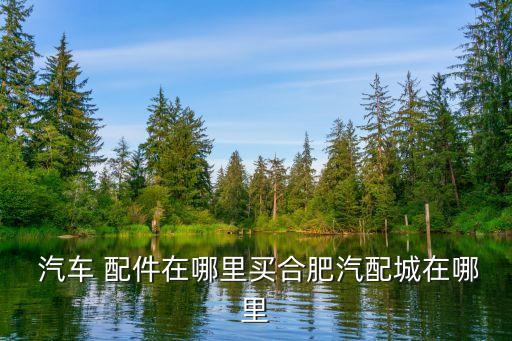 六安市有几个汽车配件批发市场