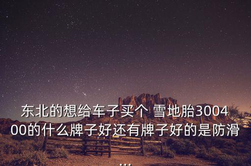 东北的想给车子买个 雪地胎300400的什么牌子好还有牌子好的是防滑...