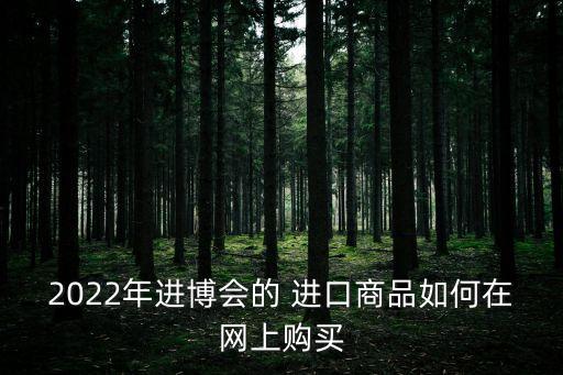 2022年进博会的 进口商品如何在网上购买