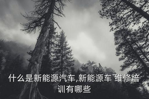 什么是新能源汽车,新能源车 维修培训有哪些