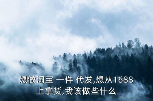 想做淘宝 一件 代发,想从1688上拿货,我该做些什么