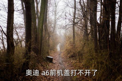 奥迪a6机盖锁怎么打开