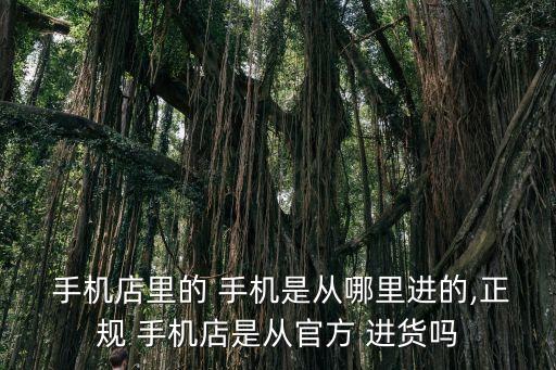  手机店里的 手机是从哪里进的,正规 手机店是从官方 进货吗