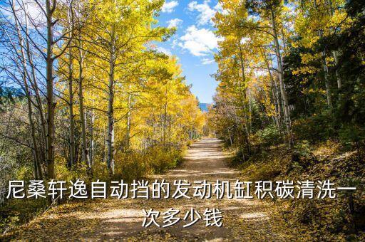 尼桑轩逸自动挡的发动机缸积碳清洗一次多少钱