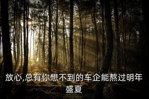放心,总有你想不到的车企能熬过明年盛夏