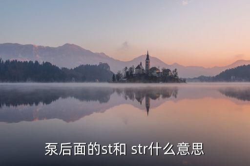 泵后面的st和 str什么意思