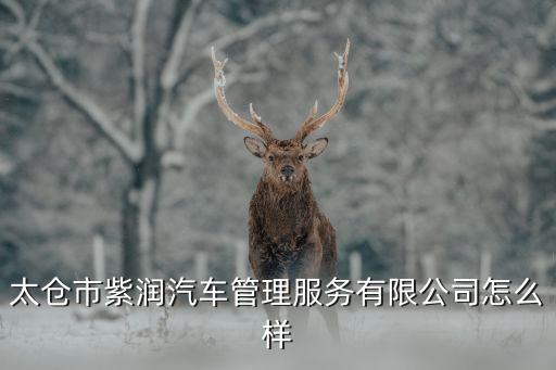太仓市紫润汽车管理服务有限公司怎么样