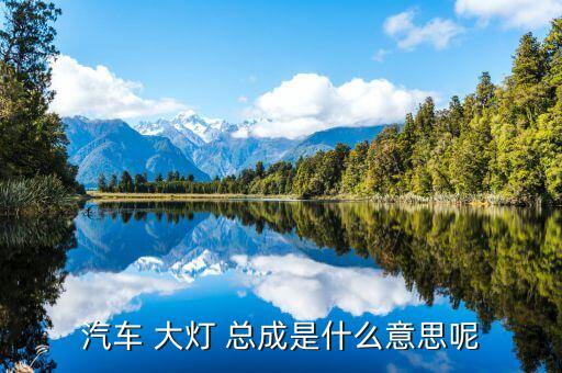 汽车 大灯 总成是什么意思呢