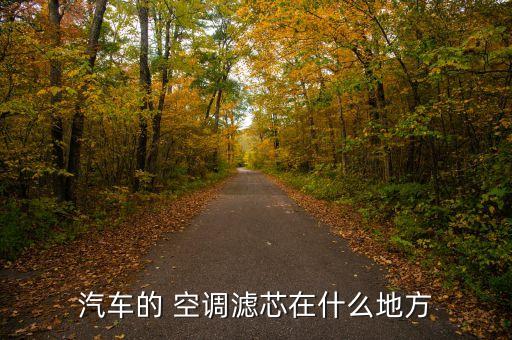 汽车的 空调滤芯在什么地方