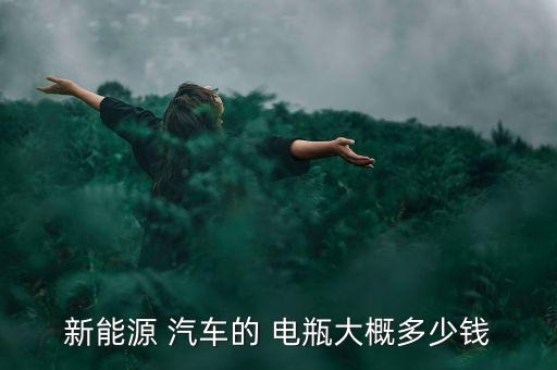 新能源 汽车的 电瓶大概多少钱