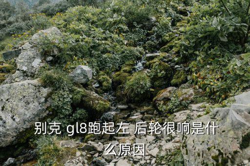  别克 gl8跑起左 后轮很响是什么原因