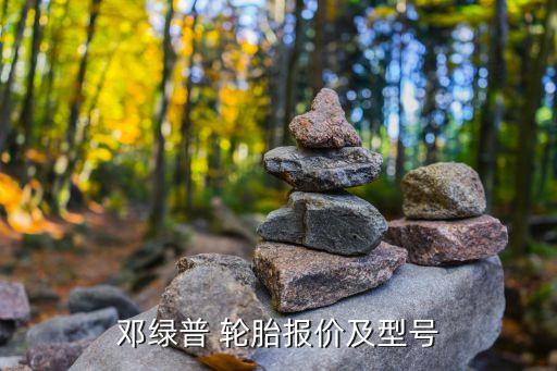 邓绿普 轮胎报价及型号