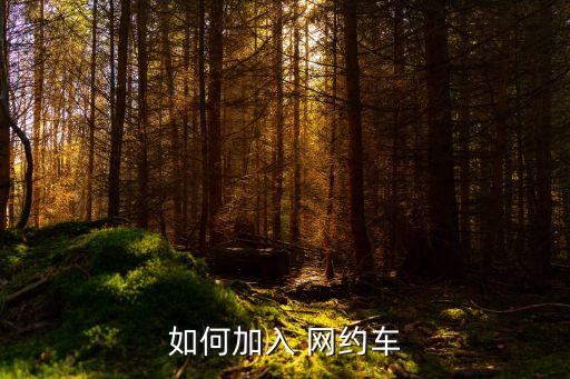 如何加入 网约车