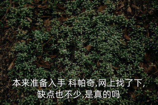 本来准备入手 科帕奇,网上找了下,缺点也不少,是真的吗