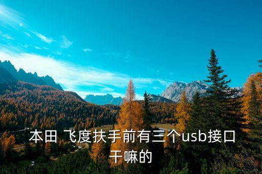  本田 飞度扶手前有三个usb接口干嘛的