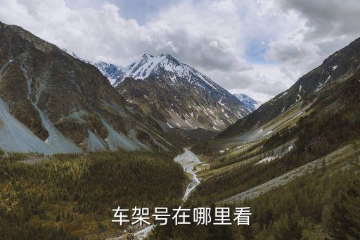 查询车架号,交管12123怎么查询车架号