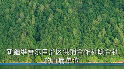  新疆维吾尔自治区供销合作社联合社的直属单位
