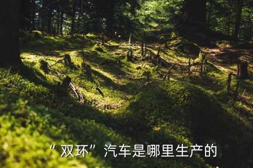 “ 双环”汽车是哪里生产的