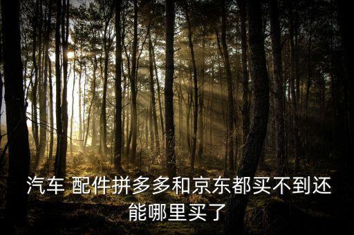 个人购买汽车配件去哪买,个人从国外购买汽车配件