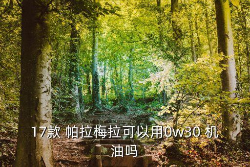 17款 帕拉梅拉可以用0w30 机油吗