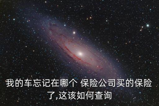 我的车忘记在哪个 保险公司买的保险了,这该如何查询