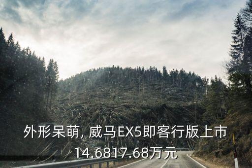 外形呆萌, 威马EX5即客行版上市14.6817.68万元