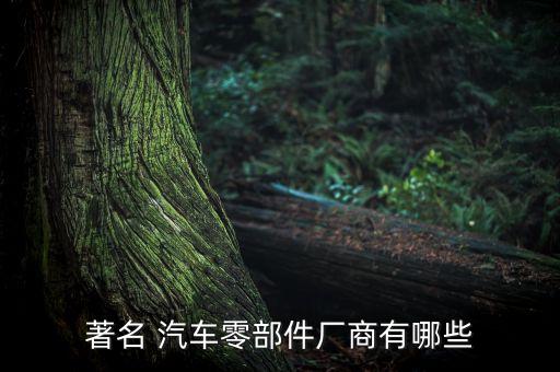 德国进口汽车配件