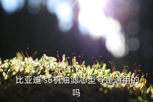  比亚迪 s6机油滤芯型号是通用的吗