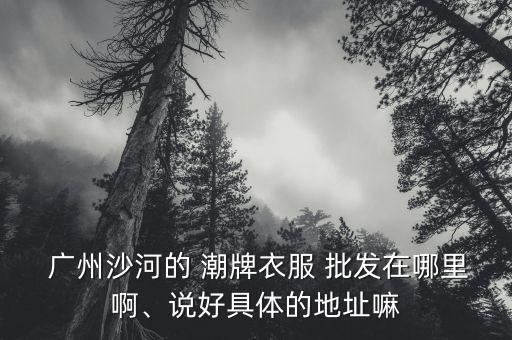 广州沙河的 潮牌衣服 批发在哪里啊、说好具体的地址嘛