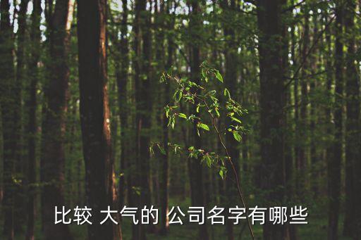 比较 大气的 公司名字有哪些