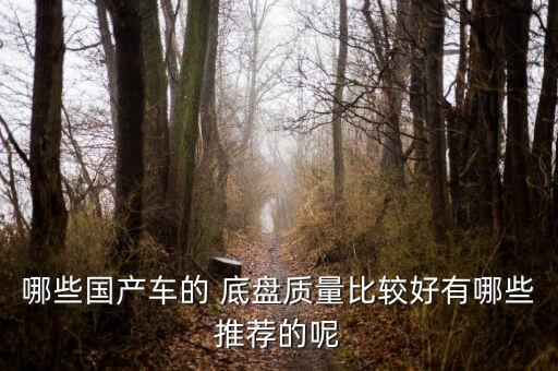 哪些国产车的 底盘质量比较好有哪些推荐的呢