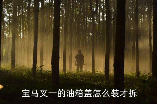  宝马叉一的油箱盖怎么装才拆